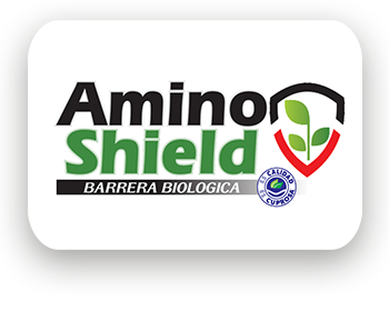Amino Shield 1