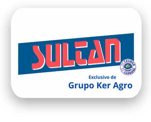 Logo Sultan