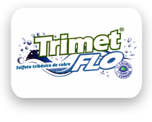 Logo Trimet Flo